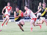 Kangaroos overrun Tigers post image