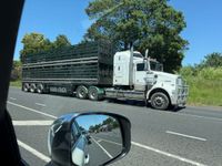 Happy with diesel security but what about the roads? post image