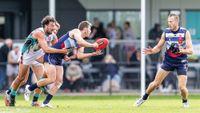 Cobras claim another win from the Panthers post image