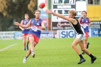 Bulldogs outlast Magpies’ efforts post image