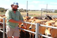 Dairy farmers wanted $9.50, here's what they got post image