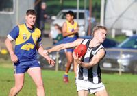 Magpies fall to in-form Ellinbank post image