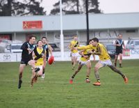 Power clamp Tigers to strengthen top three hold post image