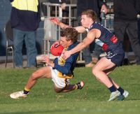 Sea Eagles trounce Panthers post image