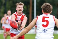 Fishy do a number on Stony in battle of the Creeks post image