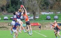 Thrilling win for the Giants post image