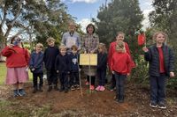 A living link to Gallipoli takes root post image