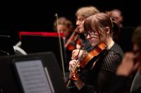 Gippsland flora and fauna to be brought to life through music post image