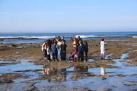 Ancient footprints and polar giants live again on the Bass Coast post image