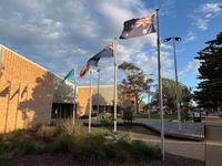 Crucial time for Phillip Island to host world penguin conference post image