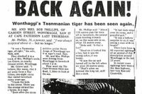 Tasmanian tigers, Wonthaggi monsters, oh my! post image