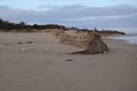 Inverloch dune reconstruction enters final phase post image