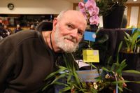 Spectacular blooms await at the 36th Annual South Gippsland Orchid Show post image