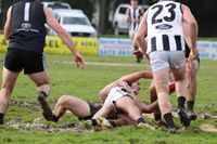 Power looks to neighbours for Season ’27 as ground crisis deepens post image