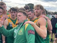 Bird flu for visiting Gulls as Leongatha Parrots take crucial win post image