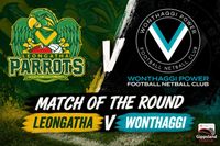 Power and Parrots face off as finals’ glory beckons post image