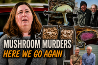 Full house at the Supreme Court for triple murderer’s appeal post image