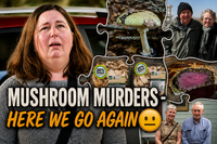 Full house at the Supreme Court for triple murderer’s appeal post image
