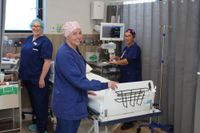 From casual carer to running Phillip Island's surgery team post image