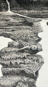 Eight-metre forest drawings open at Berninneit next month post image