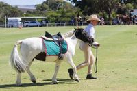 Bass Coast Show postponed until 2028 post image