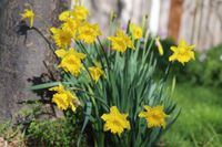 Inverloch Uniting Church prepares for vibrant return of spring fete post image