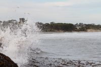 Greens put Bass Coast on notice over rising sea levels post image