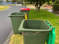 Hundreds join the campaign for weekly red bin collection post image