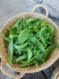 Wonthaggi to host habitat gardening workshop to boost local biodiversity post image