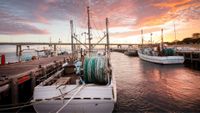 TIDAL Seafood Festival returns to San Remo this September post image
