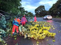 Storm shock: No injuries but there could have been, they say post image