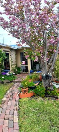 Coastal hidden gems revealed for Inverloch Open Gardens post image