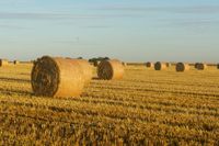Gippsland offered $1.55m to prepare for drought post image