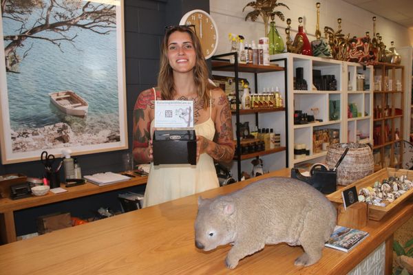 20 years in business and $1000 for wildlife post image