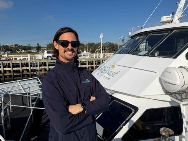 Good chance you'll see a whale at Phillip Island, they say post image