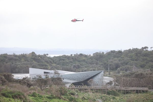 Airborne solution to $5 million Phillip Island boardwalk expansion post image