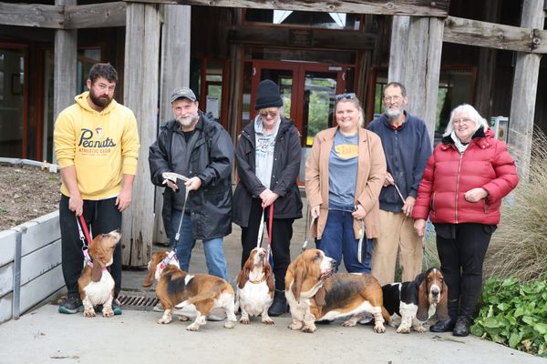 Hounds on the high road with media star Archie leading the pack to Korumburra post image