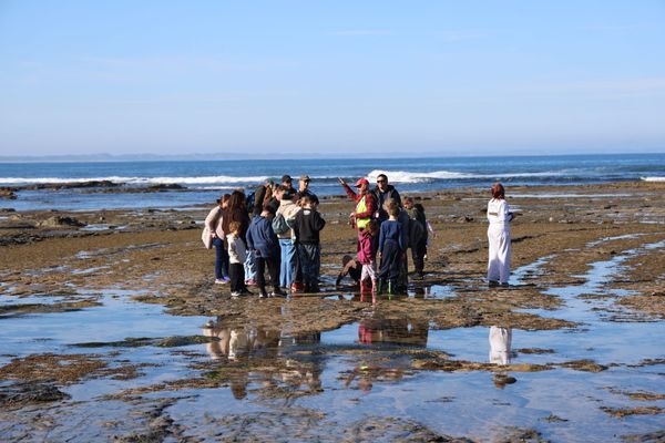 Ancient footprints and polar giants live again on the Bass Coast post image