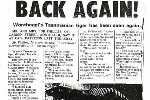 Tasmanian tigers, Wonthaggi monsters, oh my! post image