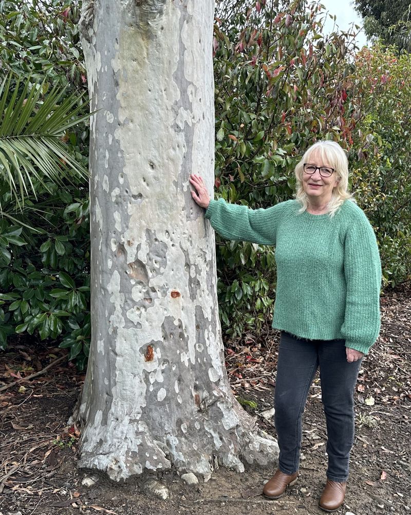 Mirboo North protection area declared as new Conservation Park post image