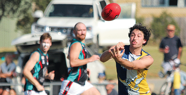 Sea Eagles dominate post image