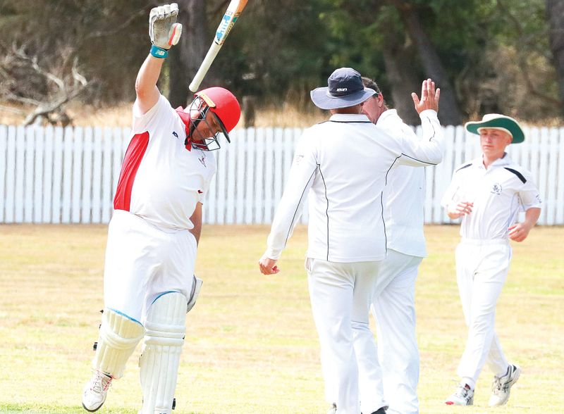 Sharks rattle Nyora post image
