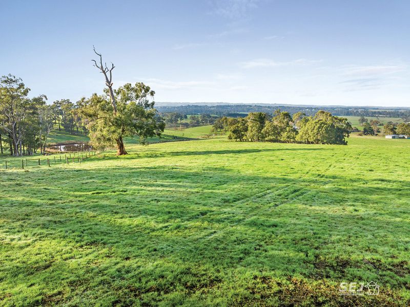 A sheltered 60 acres of grazing! post image