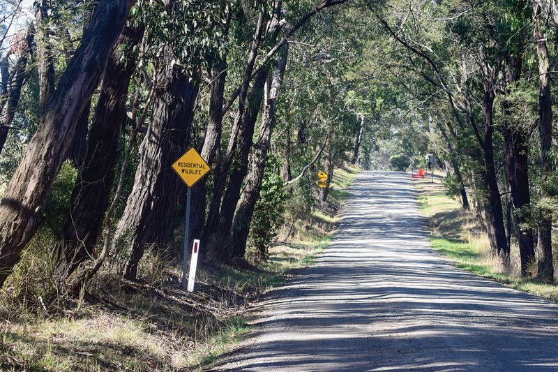 Planning Minister calls in the wrong project, they say post image