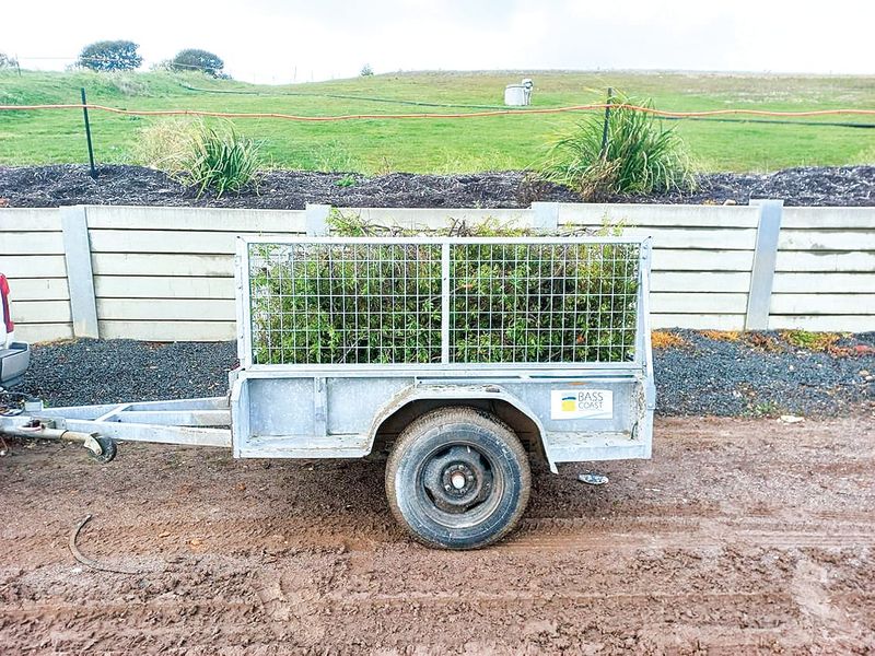 Fee-free green waste disposal coming up post image