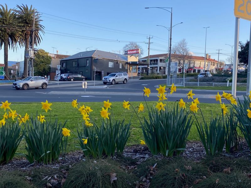 Visit local, eat local, shop local in South Gippsland post image