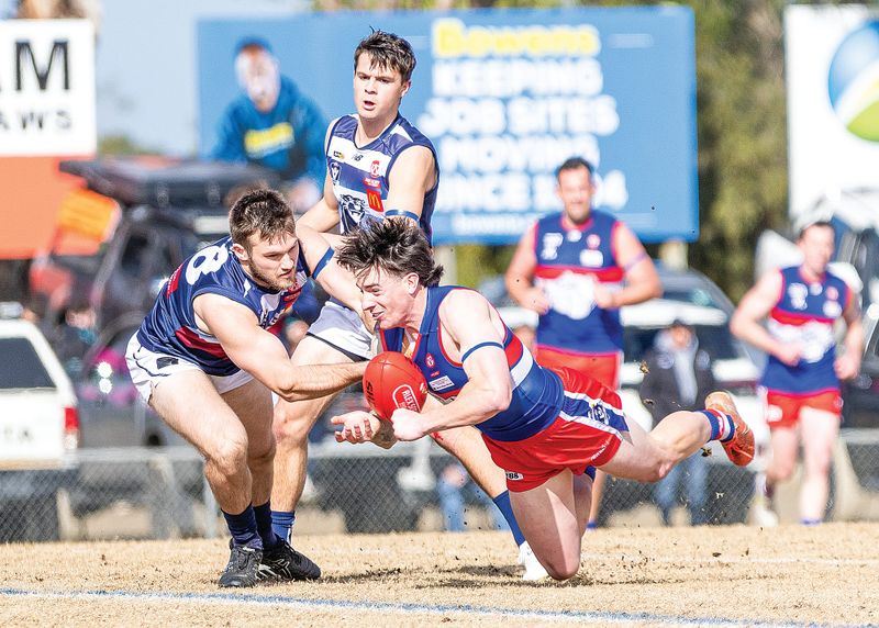 Finals fever for the Bulldogs post image