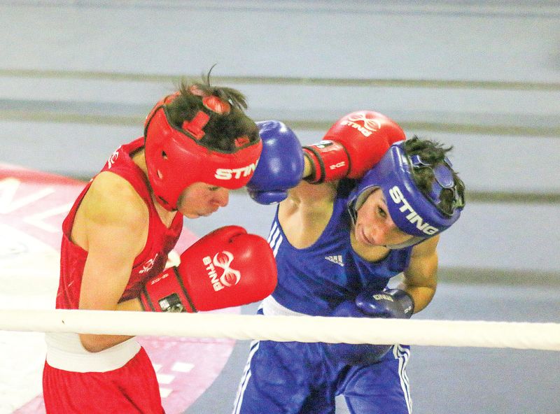 Boxers converge for Corner Inlet Cup 5 post image