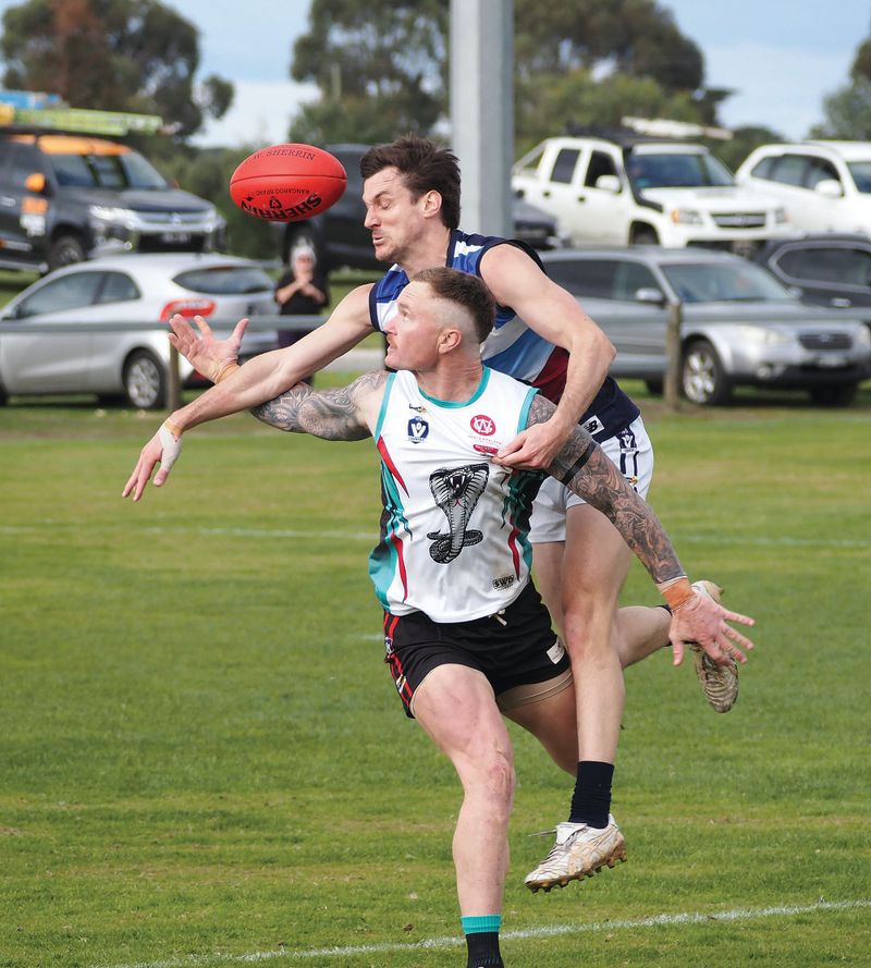 Panthers rattle the Cobras post image
