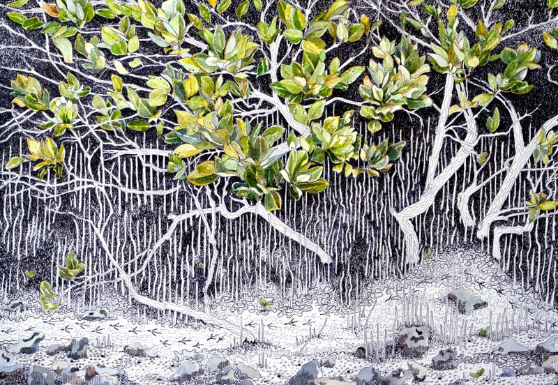 Toora artist a finalist in National Capital Art Prize post image